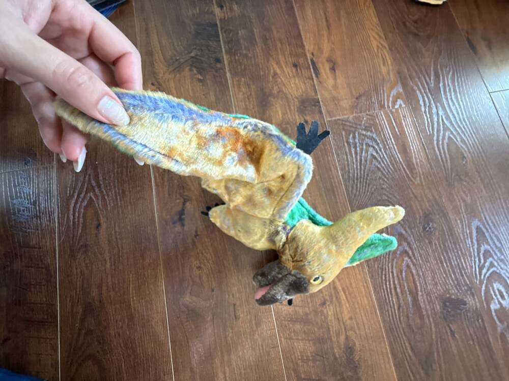 Ty Beanie Buddy Swoop The Pterodactyl Dinosaur Plush